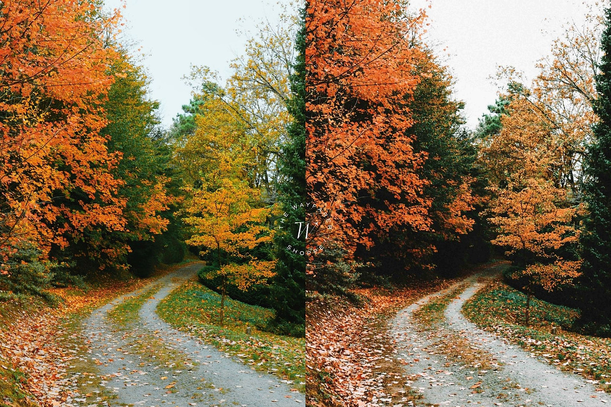 15 Rustic Fall Lightroom Presets, a Preset Add-On by TheWayfarerShoppe (Photo 9 of 9)