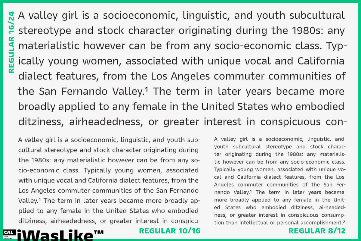 iWasLike Pro - 30 FONTS FULL FAMILY, a Sans Serif Font by California Type Foundry (Photo 5 of 11)