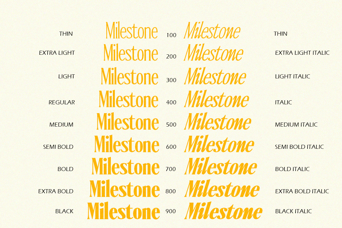 Ten Twenty Family (18 Fonts), a Serif Font by Positive TypeFoundry (Photo 13 of 15)
