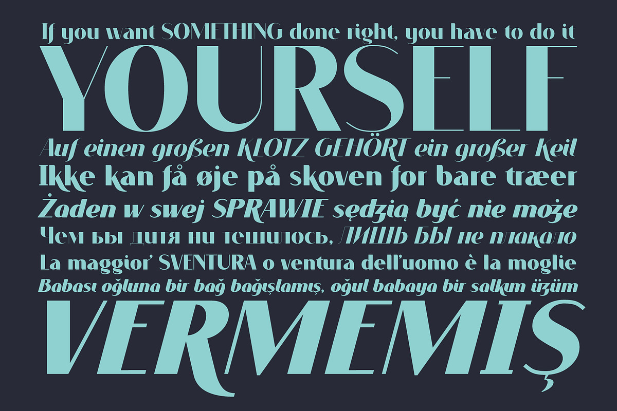 VOGUER Sans family preview 2