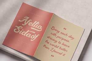 Baby Nelista Retro Display Script