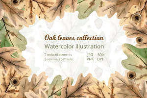 Oak leaves illustrations