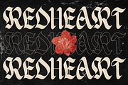 Delkota | Blackletter Typeface, a Blackletter Font by Denustudios (Thumbnail 9 of 12)