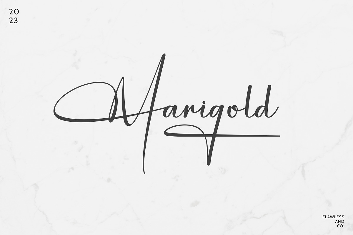 Magellin - Elegant Signature Script, a Script Font by Flawless And Co (Photo 6 of 10)