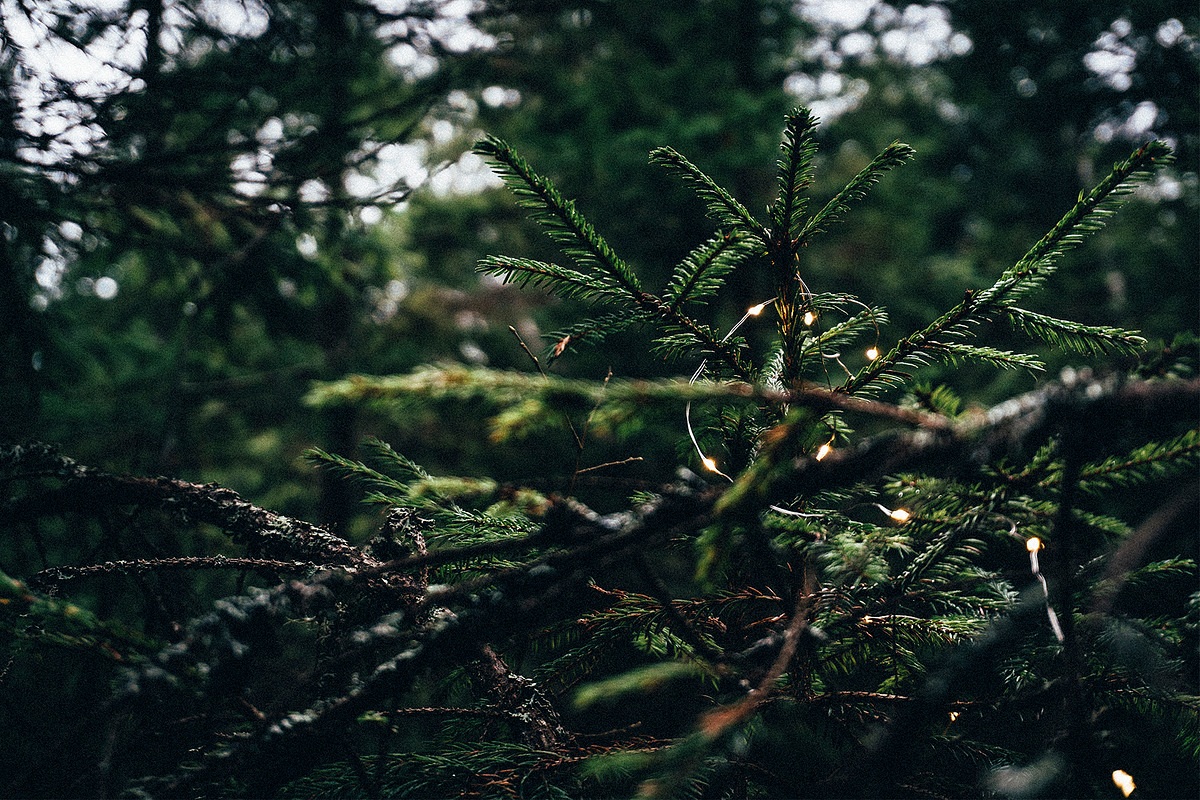 5 VINTAGE LIGHTROOM PRESETS preview 4