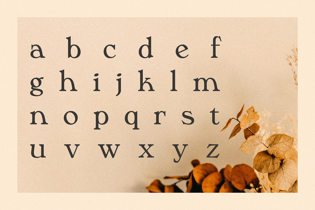 Phaedra // A Retro Serif Typeface, a Serif Font by Megs Lang (Photo 10 of 17)