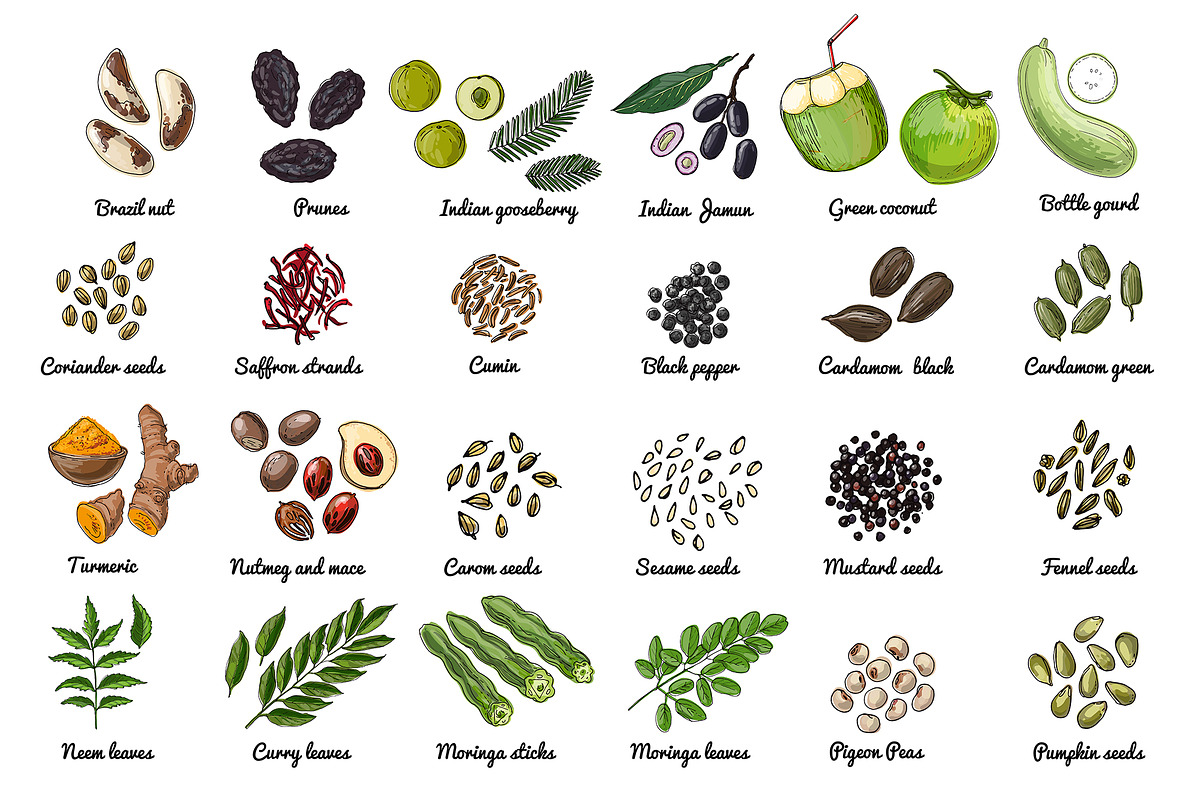 Vector food icons. Spices, nuts, a Food Illustration by irina.vaneeva (Photo 2 of 5)