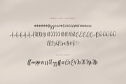 Mariposa Script Calligraphy, a Script Font by Rocket Template (Thumbnail 14 of 15)