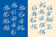 Dh Vanolines - 7 Wedding Family Font, a Script Font by Dharmas Foundry (Thumbnail 7 of 16)