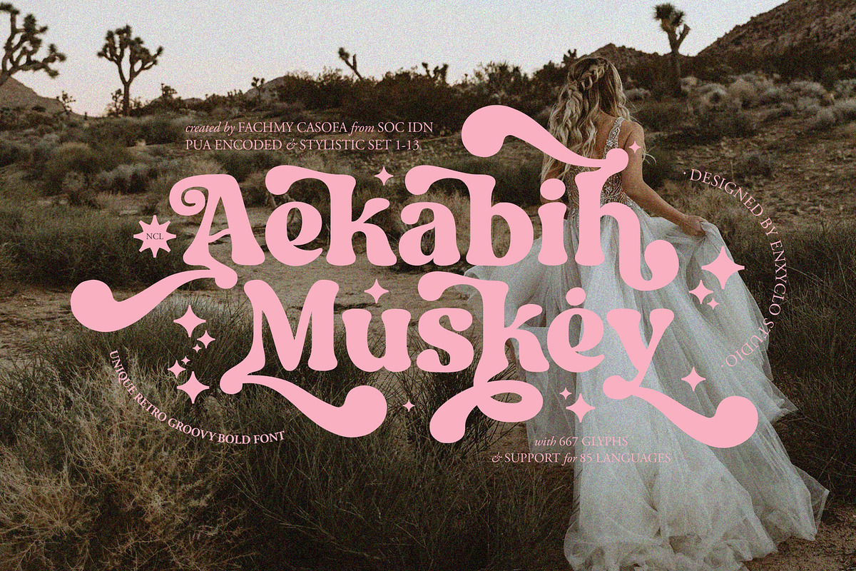 NCL Aekabih Muskey - Retro Groovy, a Serif Font by Enxyclo Studio (Photo 1 of 15)