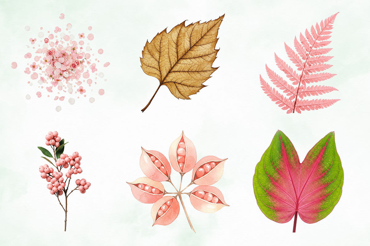 Blush Watercolor Floral Elements, an Illustration by Creative Art (Photo 2 of 9)
