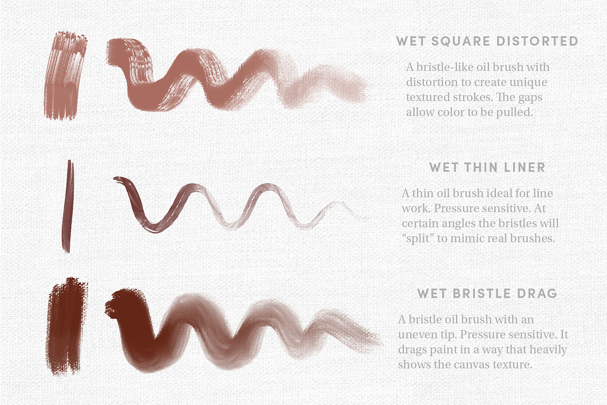 Classic Paints – Procreate Brushes, a Brush Add-On by Sadie Lew (Photo 3 of 16)