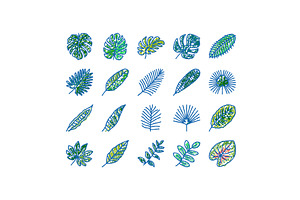 palm leaf summer plant green icons, an Object Illustration by pikepicture