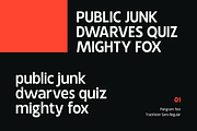 Tracklister - Display Sans Family, a Sans Serif Font by Holyline Design (Thumbnail 12 of 15)