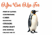 Watercolor Arctic Animals Clipart, a Seasonal Illustration by CreationArt (Thumbnail 5 of 7)