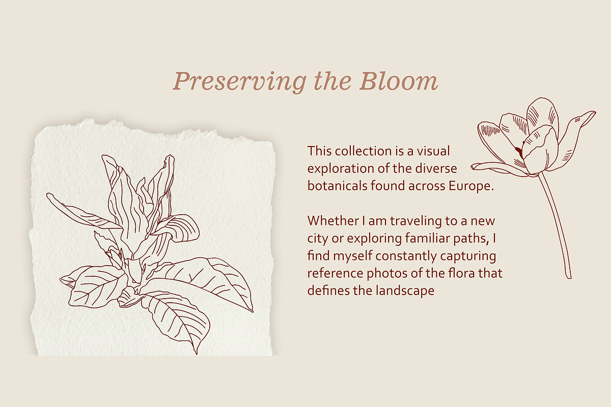 Preserving the bloom 100 flowers, a Decorative Illustration by Visual Animal (Photo 2 of 10)