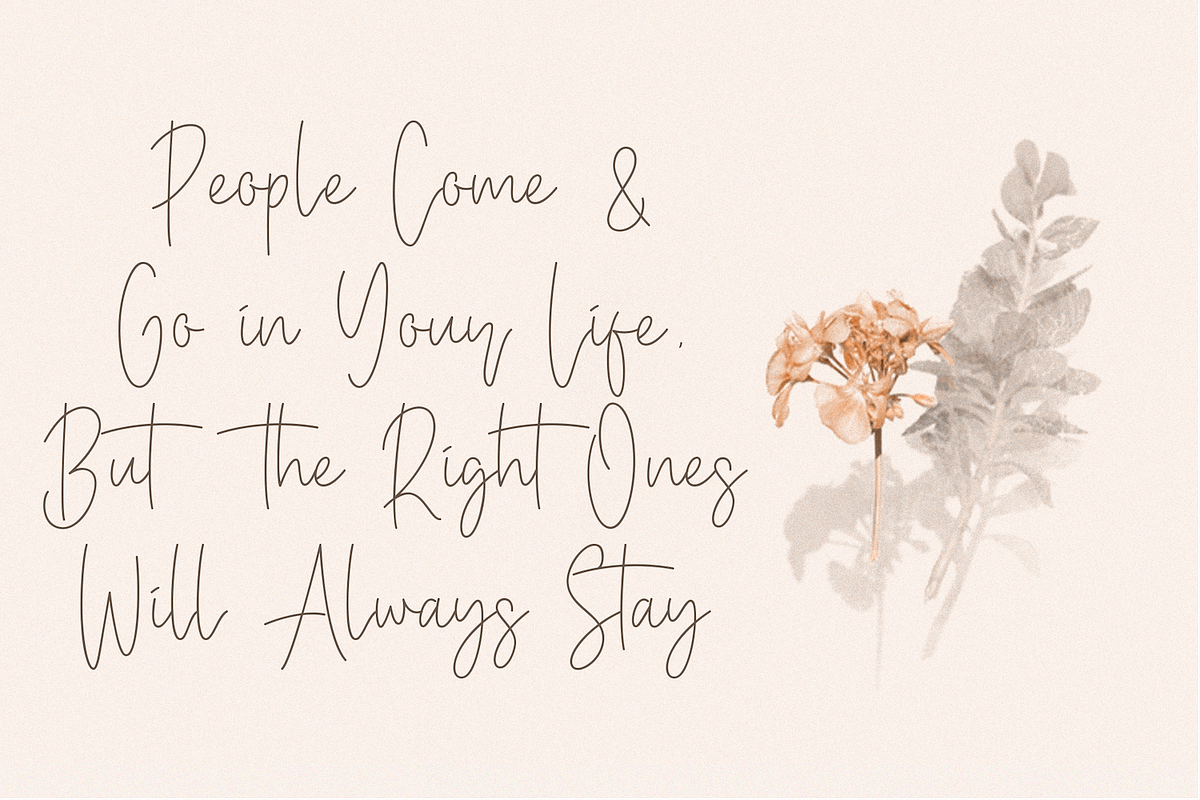 Baster Monky - Monoline Script Font preview 5