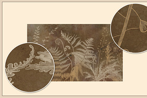 Fresco Collection Forest