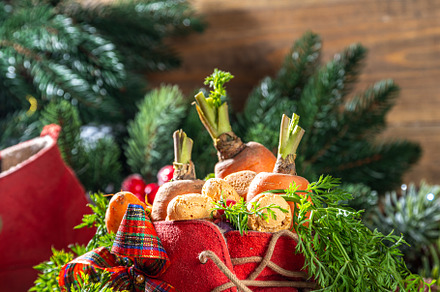 Sinterklaas Christmas holiday background, a Holiday Photo by Rimma