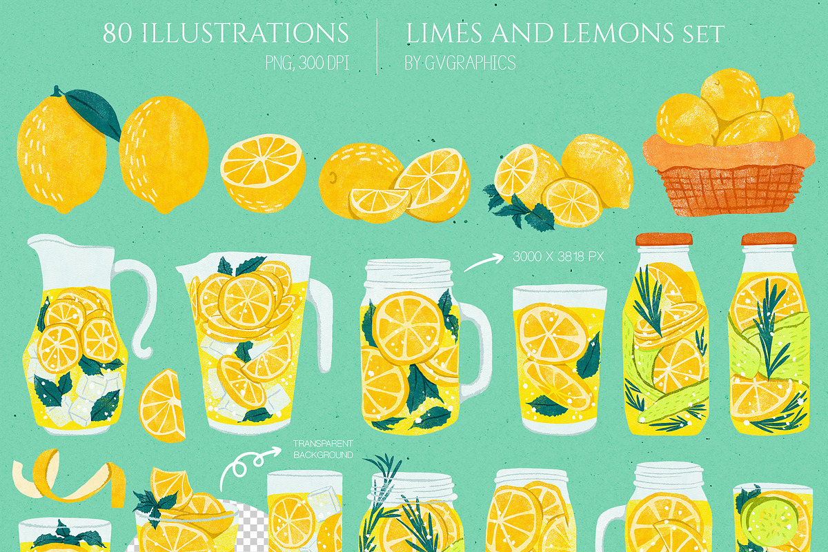 Limes and Lemons Illustrations, a Food Illustration by GVGraphics (Photo 2 of 7)