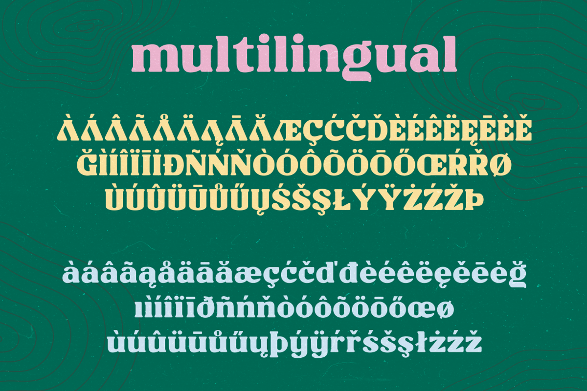CHILLION, a Serif Font by Bagerich Type Foundry (Photo 6 of 8)