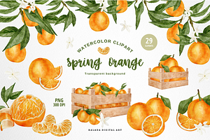 Watercolor Orange Fruit Clipart PNG