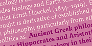 Relato Serif, a Serif Font by Emtype Foundry (Thumbnail 4 of 10)