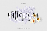 Ageless (Black Friday Sale), a Script Font by Deniz86 (Thumbnail 3 of 9)
