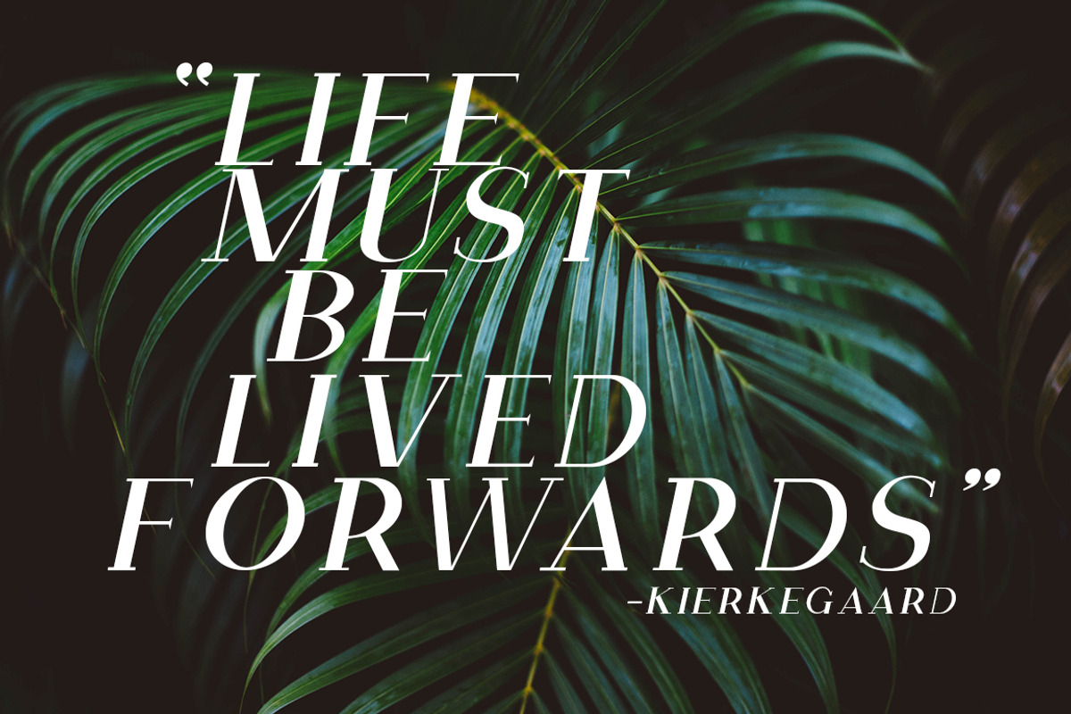 The Elegant Serif Font Bundle, a Serif Font by Zone 6 (Photo 14 of 14)
