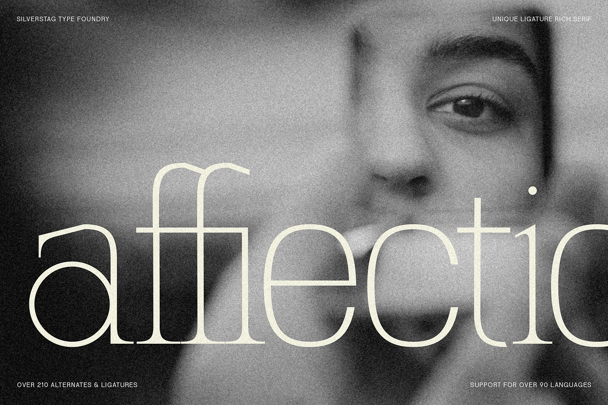 SLTF Winner Baroque - Ligature Serif, a Serif Font by SilverStag Type Foundry (Photo 5 of 30)
