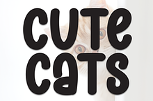 Cute Cats | Script Font