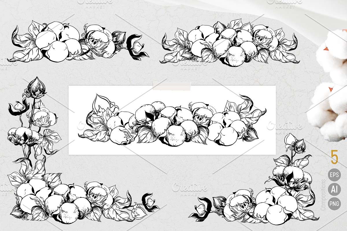 Soft Cotton. Vector engraving style., an Illustration by Tata Pilip (Photo 7 of 10)