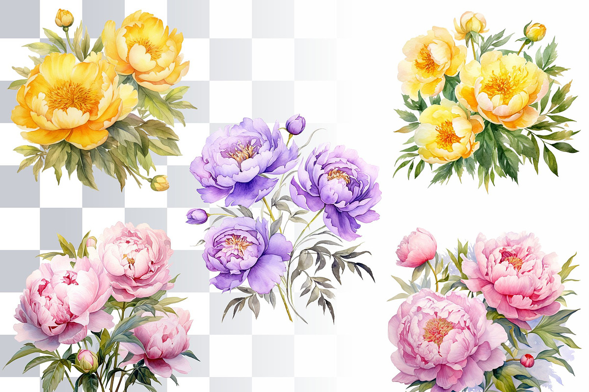 Peony Watercolor Clipart Set, a Decorative Illustration by Loony Dream Designs (Photo 3 of 4)