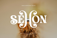 SEHON LIGATURE SERIF TYPEFRACE