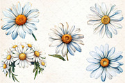Watercolor Daisy Clipart, an Illustration by Libby Wishes (Thumbnail 4 of 5)