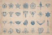 205 Floral Objects, an Object Graphic by Mr Vintage (Thumbnail 3 of 5)