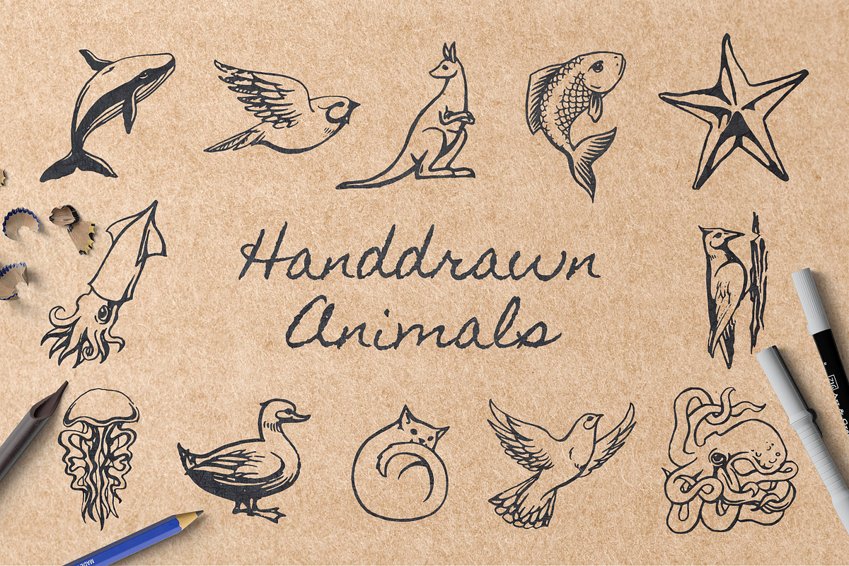 Hand Drawn Animals, an Animal Illustration by Michael Rayback Design (Photo 1 of 4)