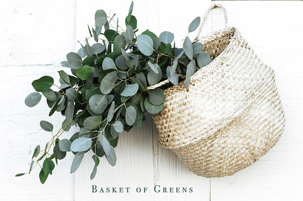 Greenery Basket Styled Stock 