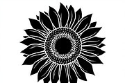 Floral Flower Vector Collection, an Illustration by Designer_Momina (Thumbnail 5 of 9)