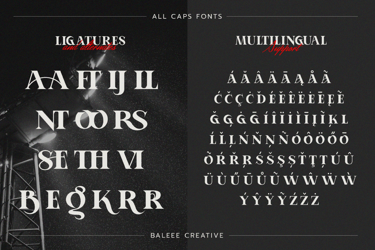 Aporla - Elegant Slab Serif, a Slab Serif Font by Baleee (Photo 17 of 18)