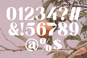 Saitering | A Modern Sans Serif, a Sans Serif Font by Andrimada Creative (Thumbnail 11 of 11)