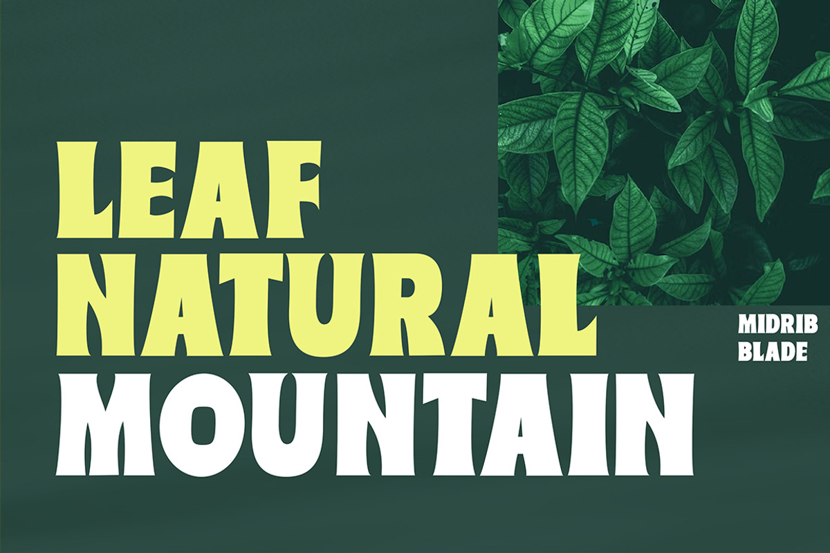 Brundox, a Handwritten Font by studiobasic (Photo 10 of 10)