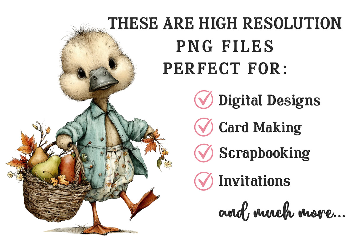 Whimsical Duck PNG Clipart, a Seasonal Illustration by OK Design (Photo 6 of 6)