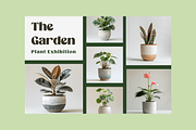 Home Plants, a Nature Photo by Typedreams.site (Thumbnail 3 of 9)
