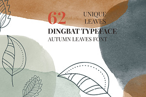 Autumn Leaves Dingbats Font