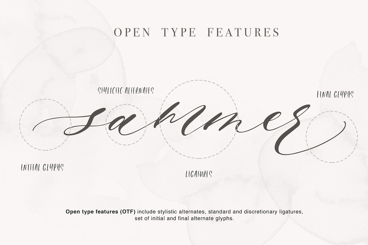 Roselyn Script preview 7