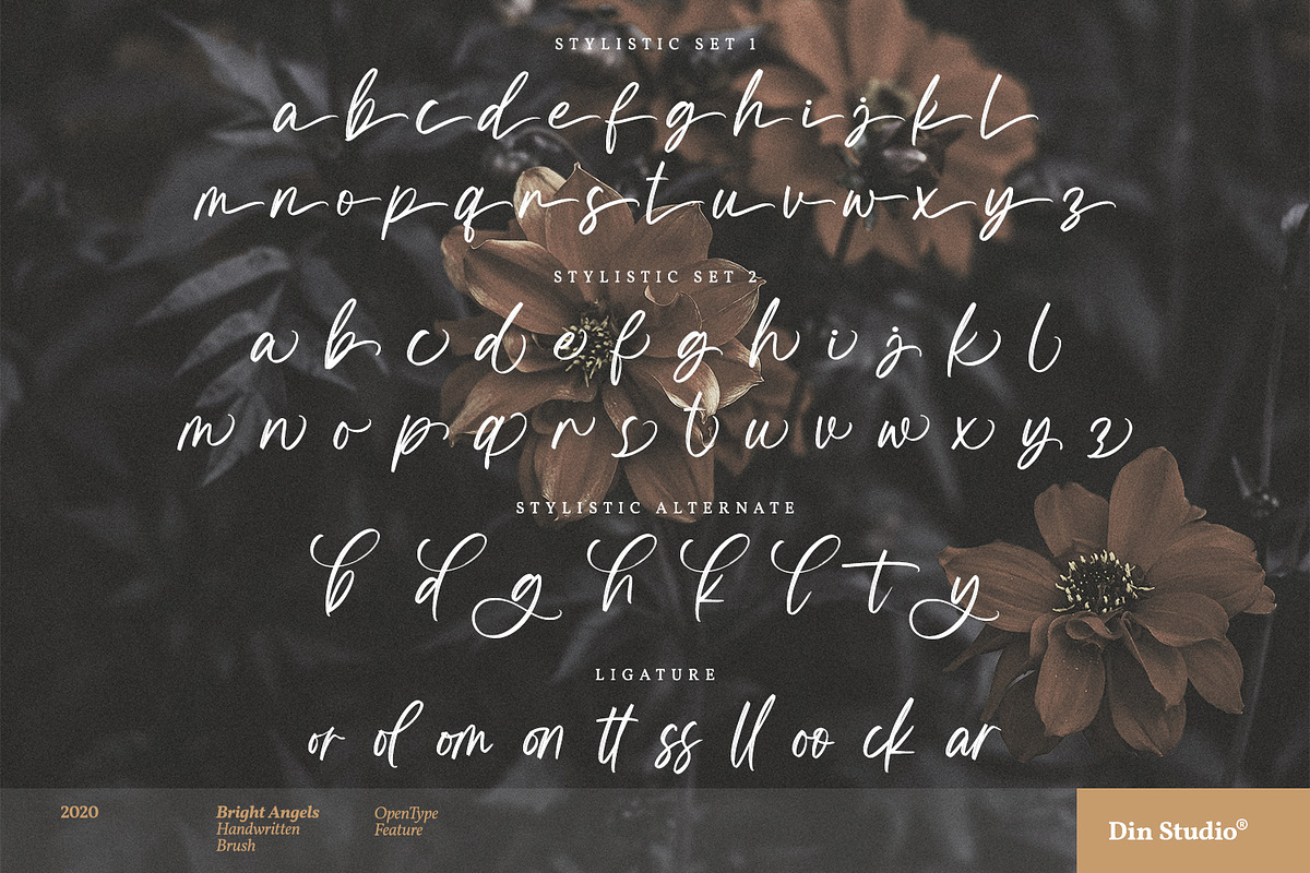 Bright Angels, a Script Font by din-studio.com (Photo 9 of 10)