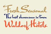 Mr Rafkin Pro, a Script Font by Sudtipos (Thumbnail 5 of 5)