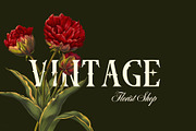 Besxov - Blackletter, a Blackletter Font by Nirmana Visual (Thumbnail 3 of 9)