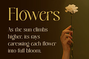 Bowtaris || ligature display serif, a Serif Font by ToniStudio (Thumbnail 6 of 9)